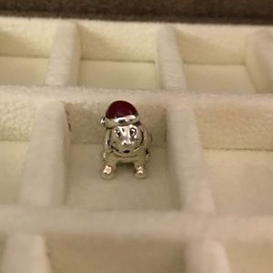 Pandora dog with Santa hat